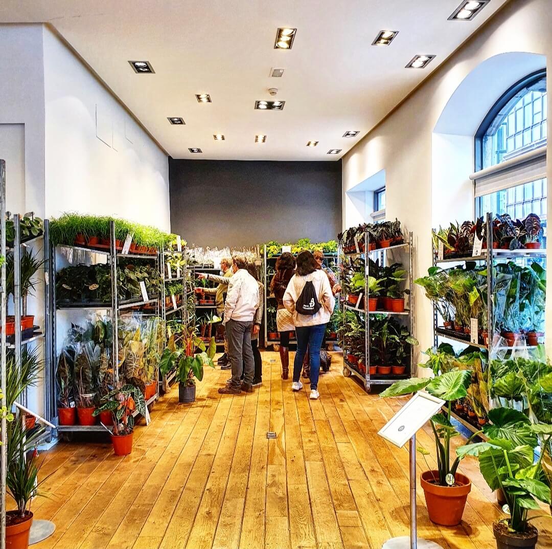VUELVE EL JARDÍN EFÍMERO DE MAISON BOUTURE A YIMBY